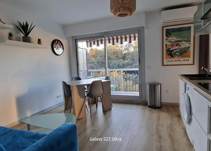 Le Petit Manseng RESIDENCE CIMIEZ LE HAUT